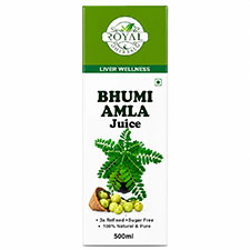 Bhumi Amla Juice
