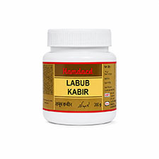 Labub Kabir